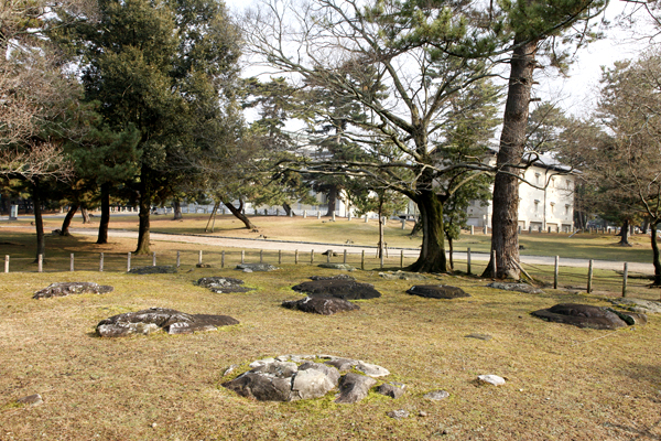 春日西塔跡 (奥になら仏像館を望む)