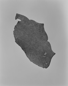 女神鏡像断片（双鳥文八稜鏡）（奈良県金峯山経塚出土）