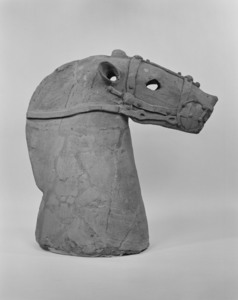 埴輪馬（頭部）（伝茨城県東海村外宿出土）_7