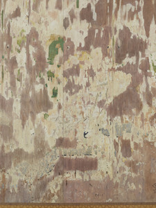 平等院鳳凰堂壁画模写  上品上生図（阿弥陀来迎図）右扉_6