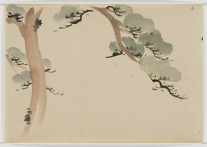 図案（松）（木内家三代資料のうち）