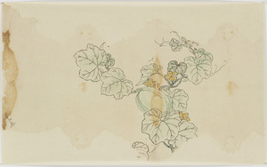 図案（瓜）（木内家三代資料のうち）