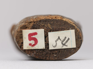 千体地蔵菩薩立像_2