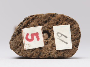 千体地蔵菩薩立像_0