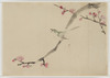 図案（梅に鶯）（木内家三代資料のうち）